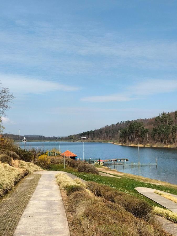 Neues-Ferienhaus-Am-Schoenen-Ferienpark-Twistesee-Naehe-Bad-Arolsen Bad Arolsen Zewnętrze zdjęcie